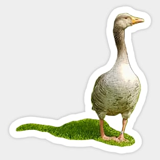 Mother Goose Sticker